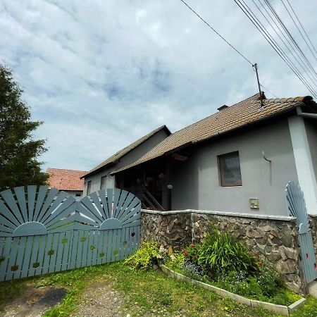 Casa De Oaspeti Cristina Fitód Kültér fotó