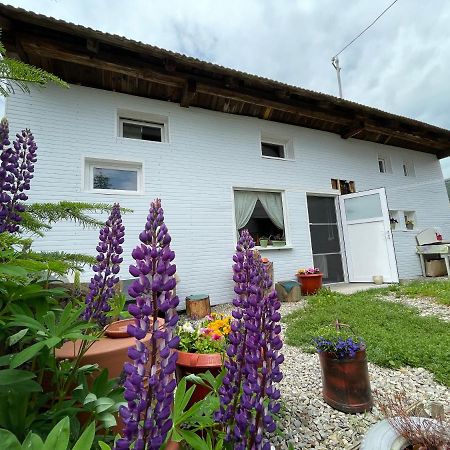 Casa De Oaspeti Cristina Fitód Kültér fotó