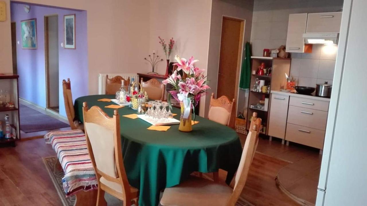 Casa De Oaspeti Cristina Fitód Kültér fotó