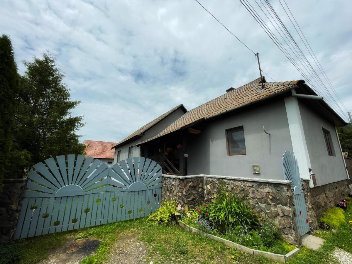 Casa De Oaspeti Cristina Fitód Kültér fotó