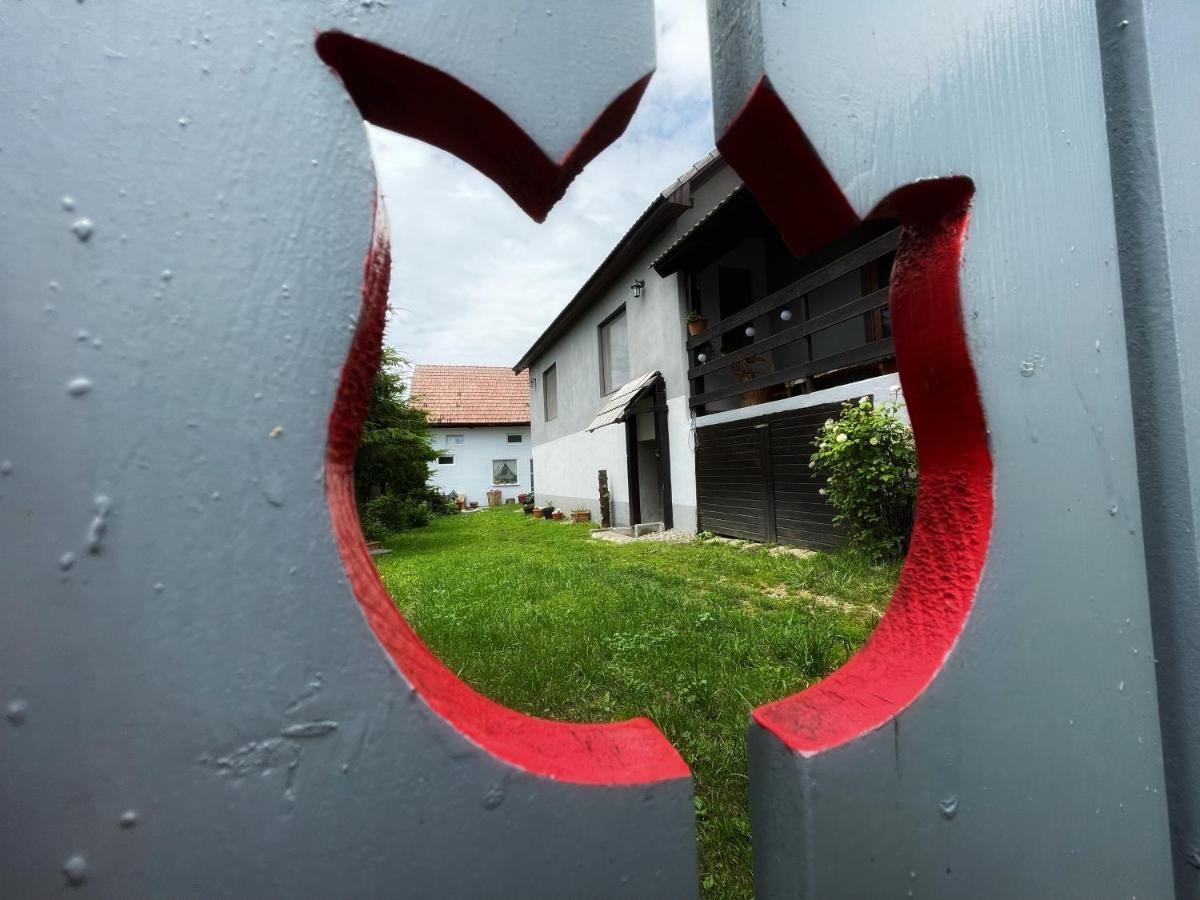 Casa De Oaspeti Cristina Fitód Kültér fotó
