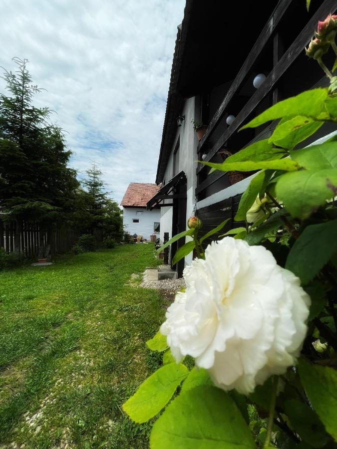 Casa De Oaspeti Cristina Fitód Kültér fotó
