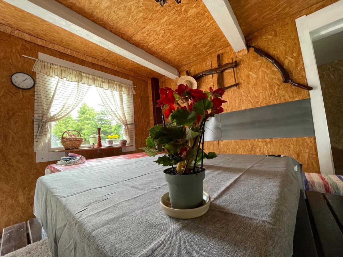 Casa De Oaspeti Cristina Fitód Kültér fotó